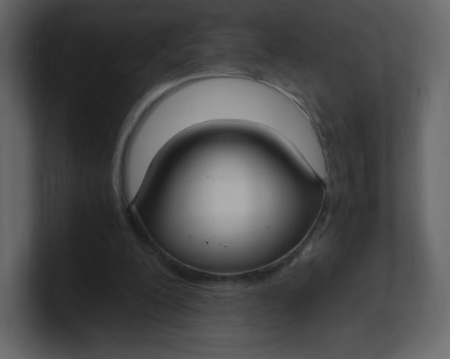 X0000100940200200807151313