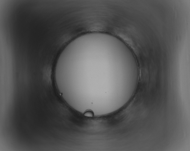 X0000100940201200807151313