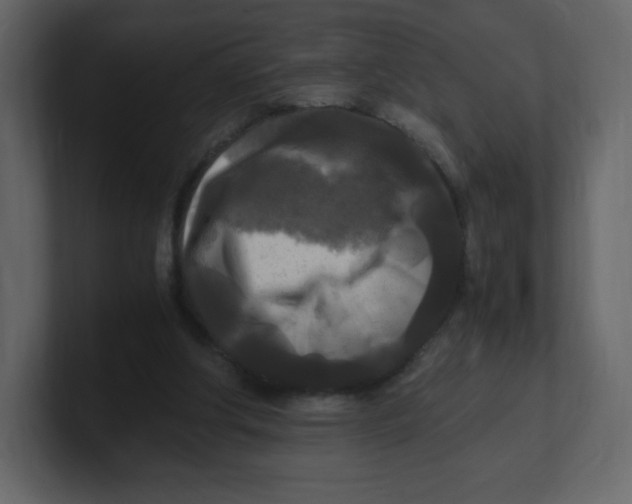 X0000100940202200807151313