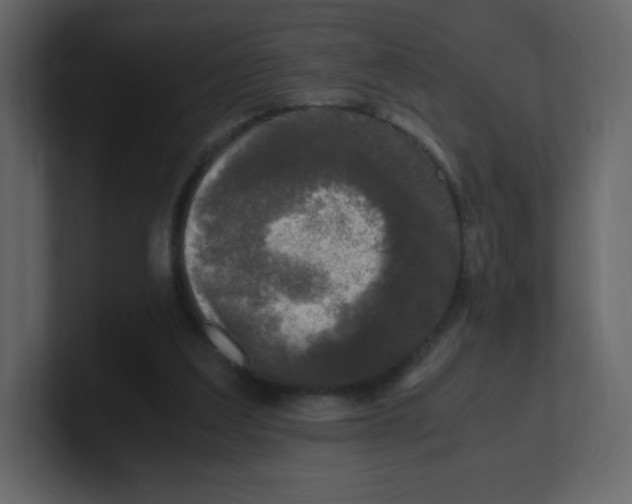 X0000100940203200807151313