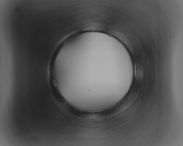 X0000100940204200807151313