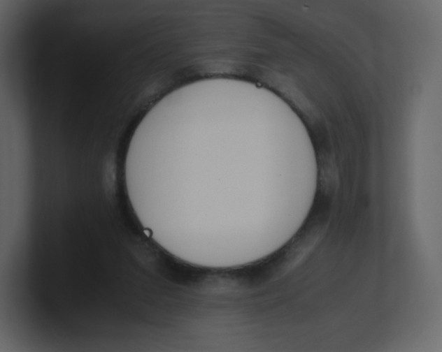 X0000100940207200807151313