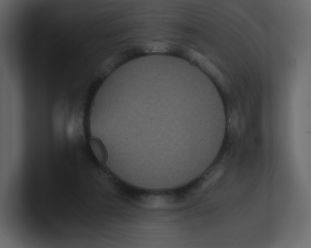 X0000100940209200807151313