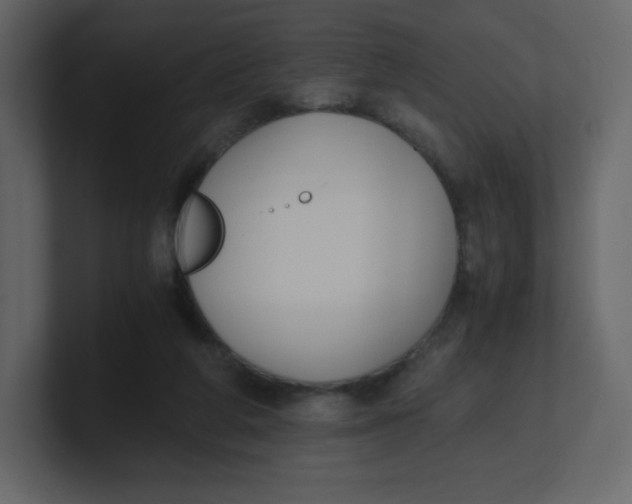 X0000100940210200807151313