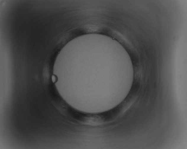 X0000100940215200807151313