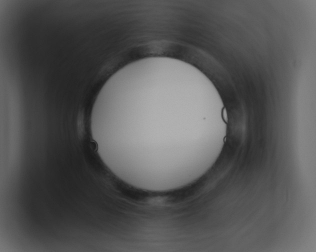 X0000100940216200807151313