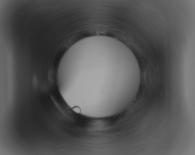 X0000100940218200807151313