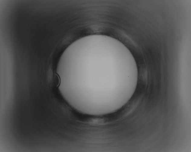 X0000100940220200807151313