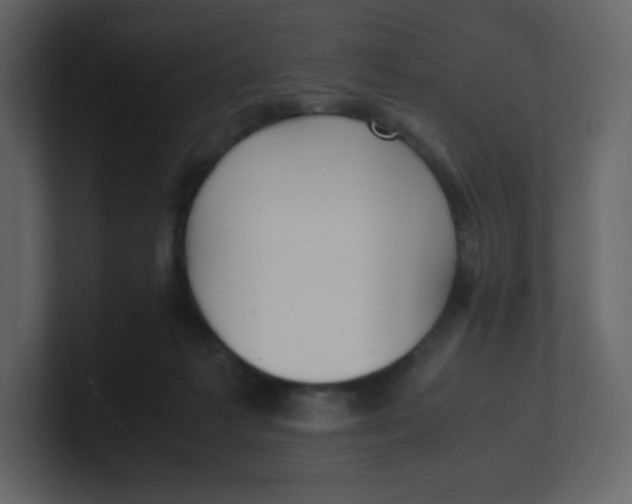 X0000100940221200807151313