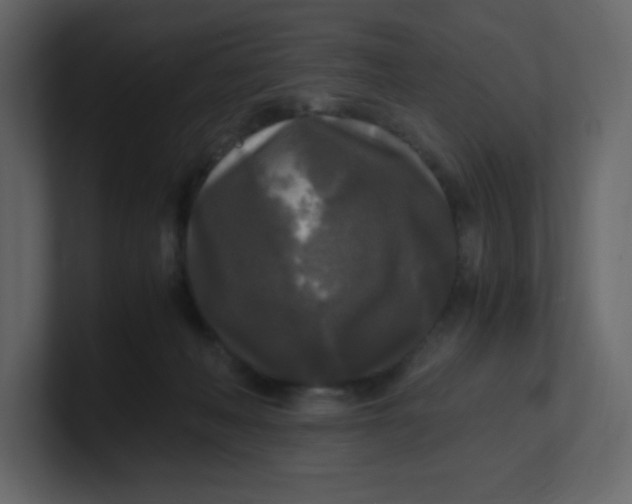 X0000100940222200807151313