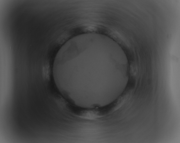 X0000100940223200807151313