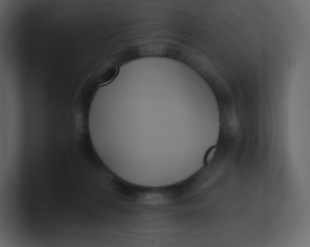 X0000100940224200807151313