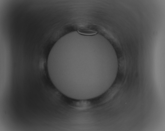 X0000100940225200807151313