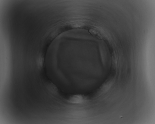 X0000100940227200807151313