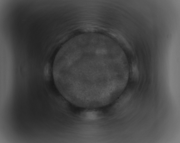 X0000100940228200807151313