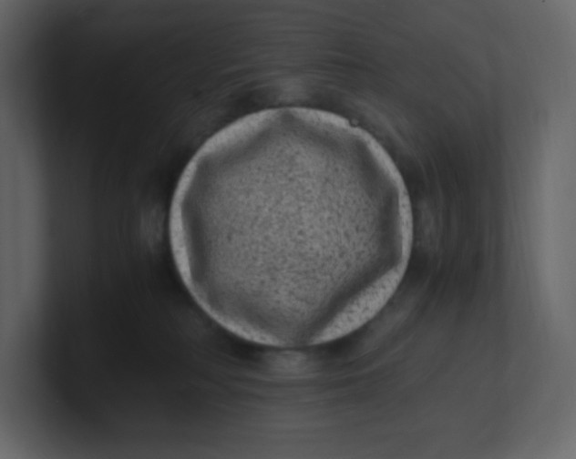 X0000100940230200807151313