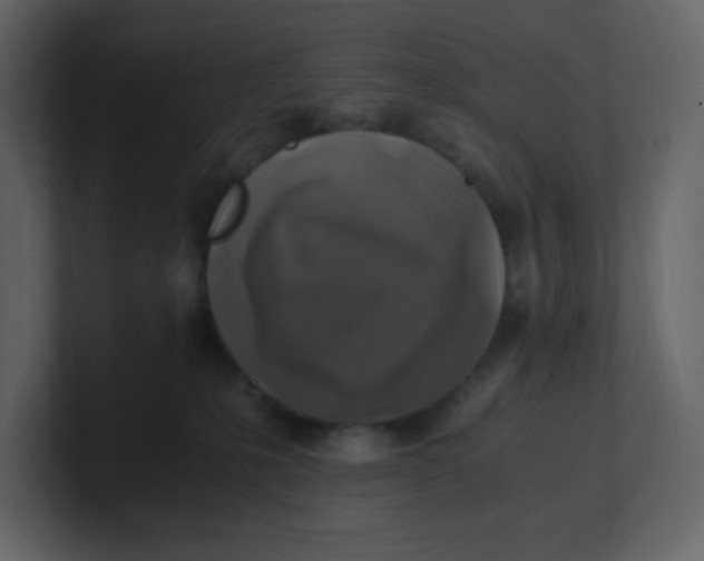 X0000100940231200807151313