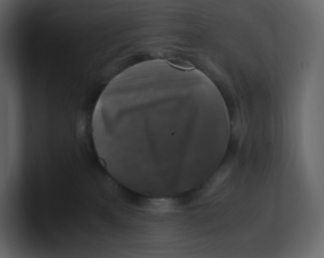 X0000100940233200807151313