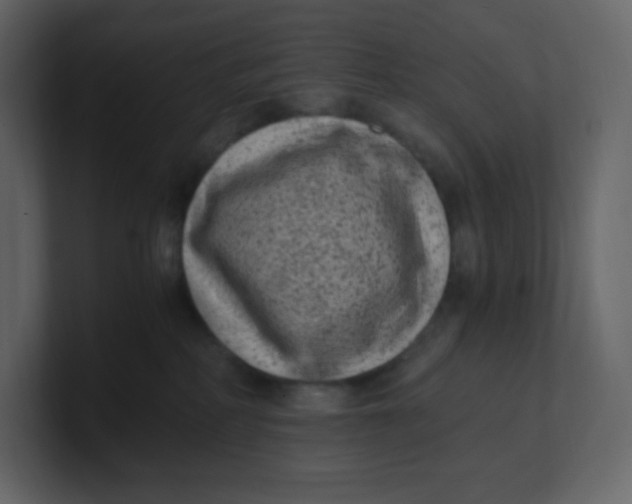 X0000100940234200807151313