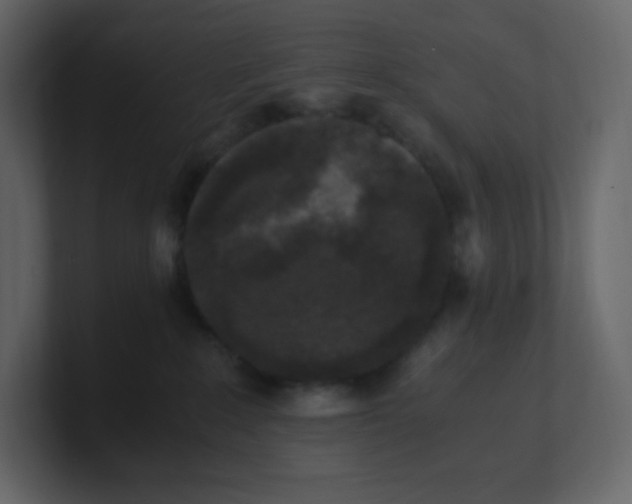 X0000100940235200807151313