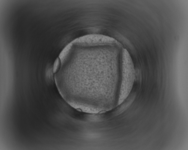 X0000100940238200807151313