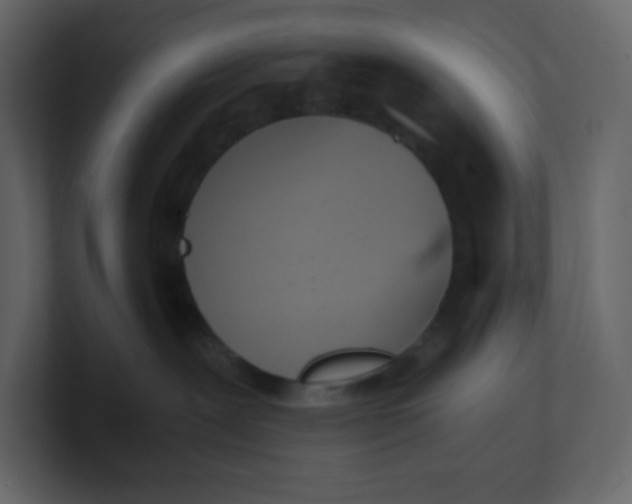 X0000100940239200807151313