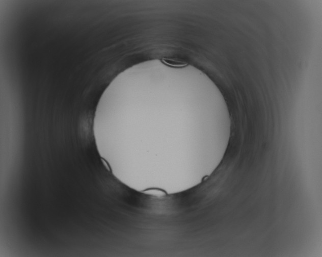 X0000100940240200807151313