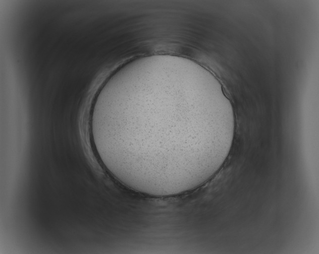 X0000100940241200807151312