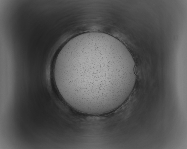 X0000100940242200807151312