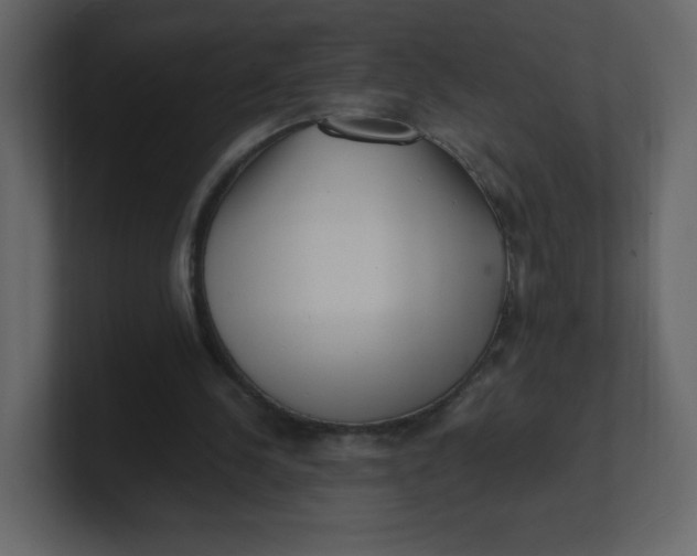 X0000100940244200807151312