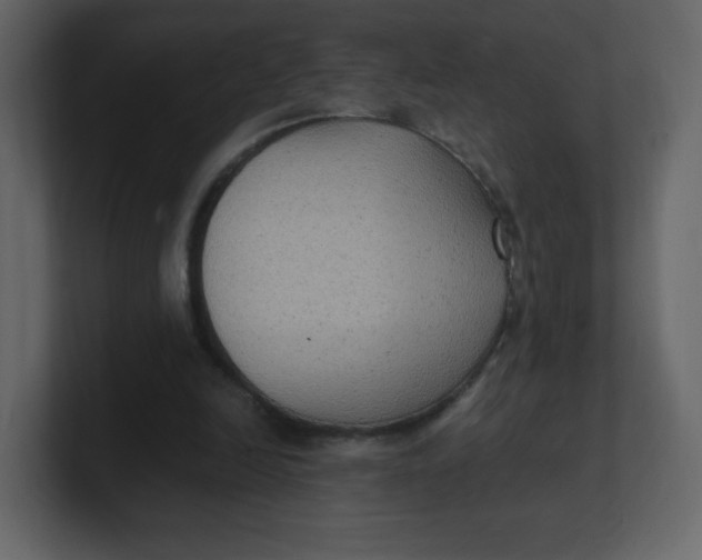 X0000100940246200807151312