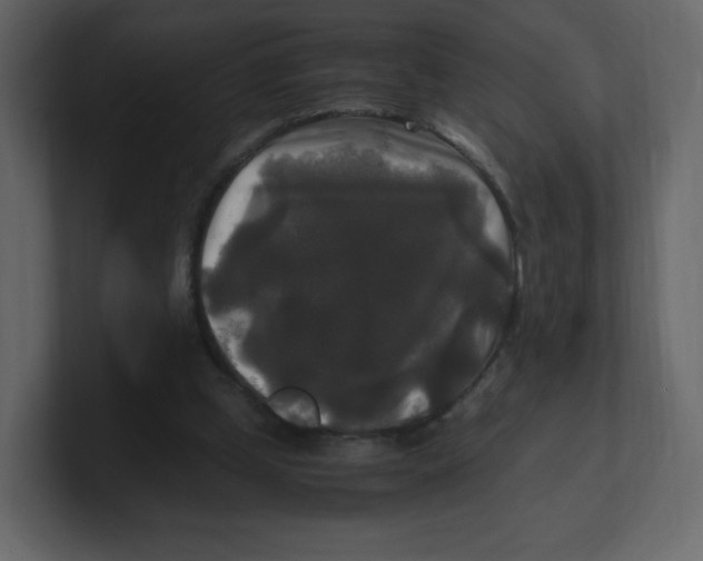 X0000100940249200807151312