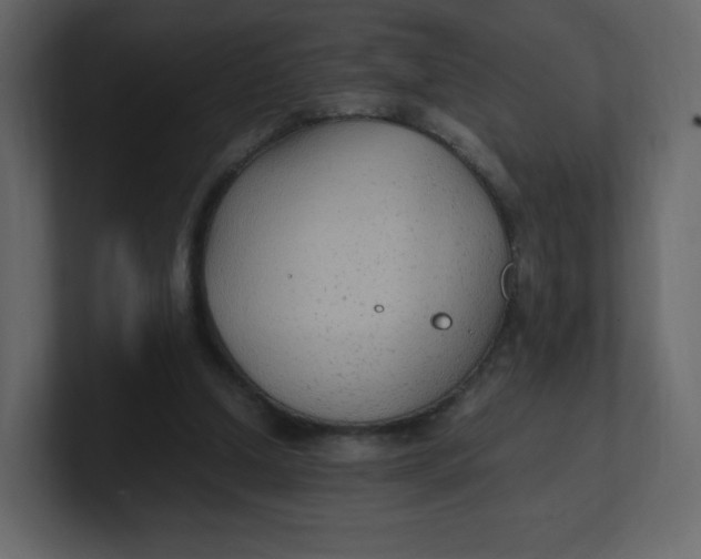 X0000100940250200807151312