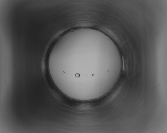 X0000100940252200807151312