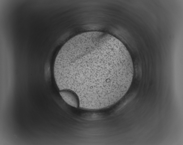 X0000100940254200807151312