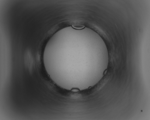 X0000100940258200807151312