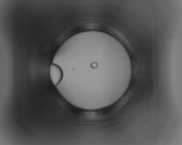 X0000100940265200807151312