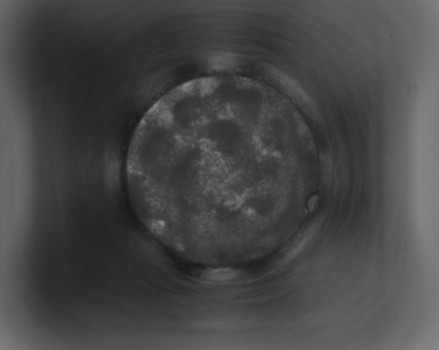 X0000100940269200807151312