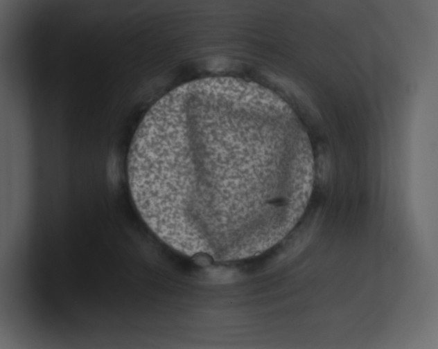 X0000100940272200807151312