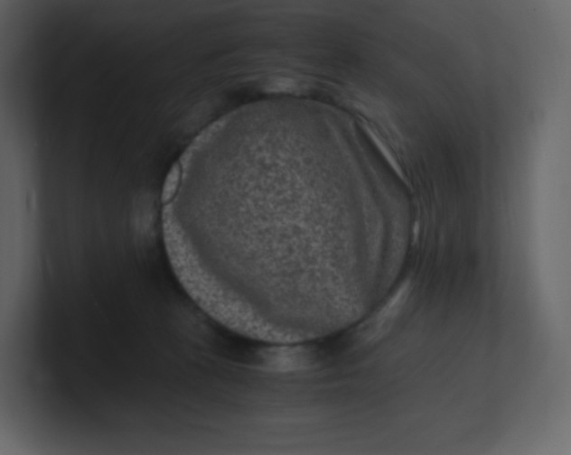 X0000100940273200807151312