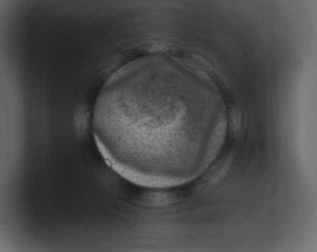 X0000100940276200807151312