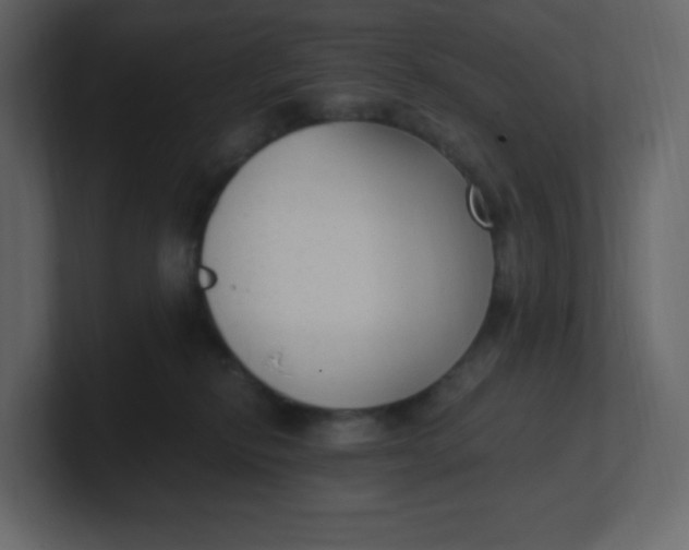 X0000100940278200807151312