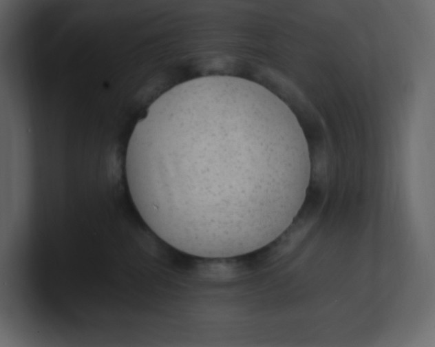 X0000100940282200807151313