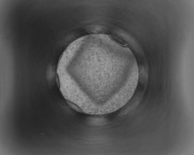 X0000100940284200807151313