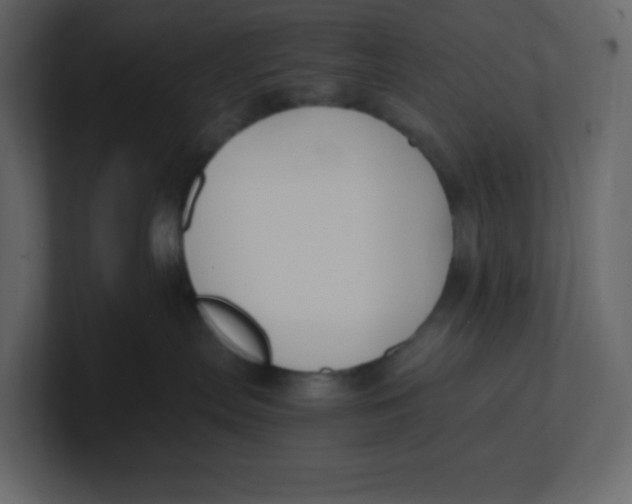 X0000100940287200807151313