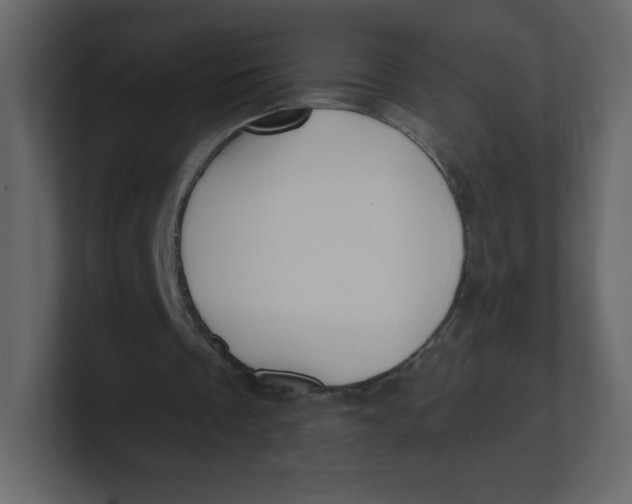 X0000100940289200807151312