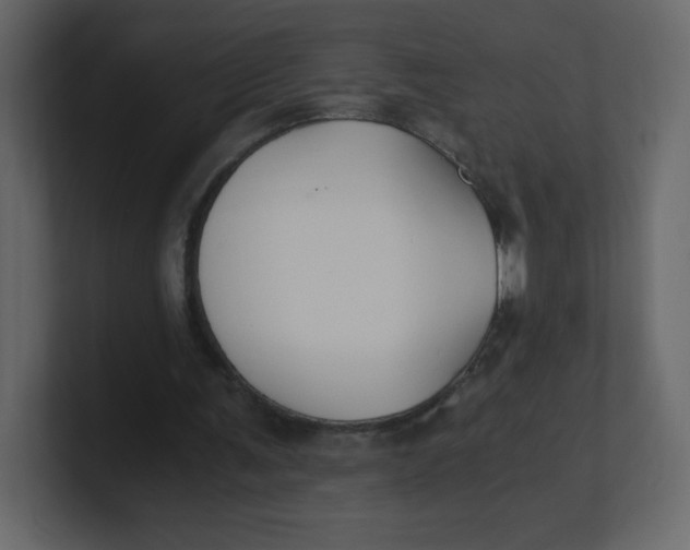 X0000100940291200807151312