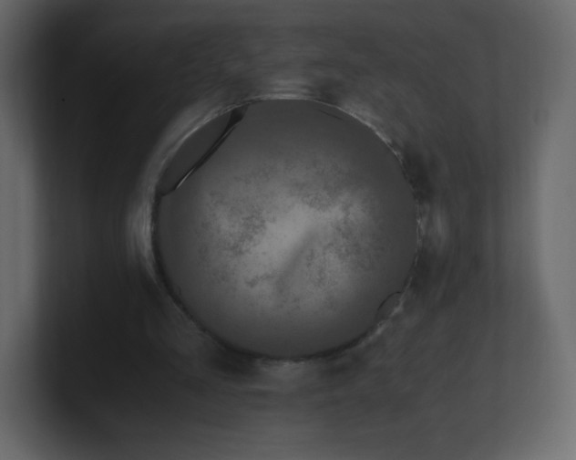 X0000100940293200807151312