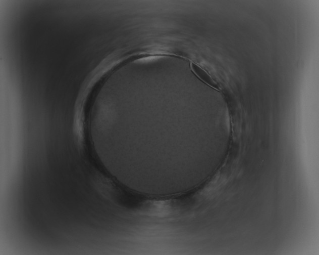 X0000100940295200807151312