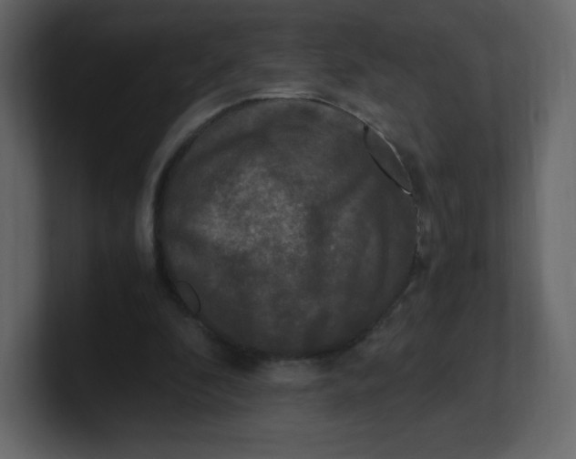 X0000100940296200807151312